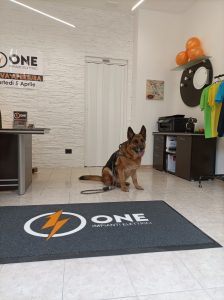 zerbino intarsiato personalizzato