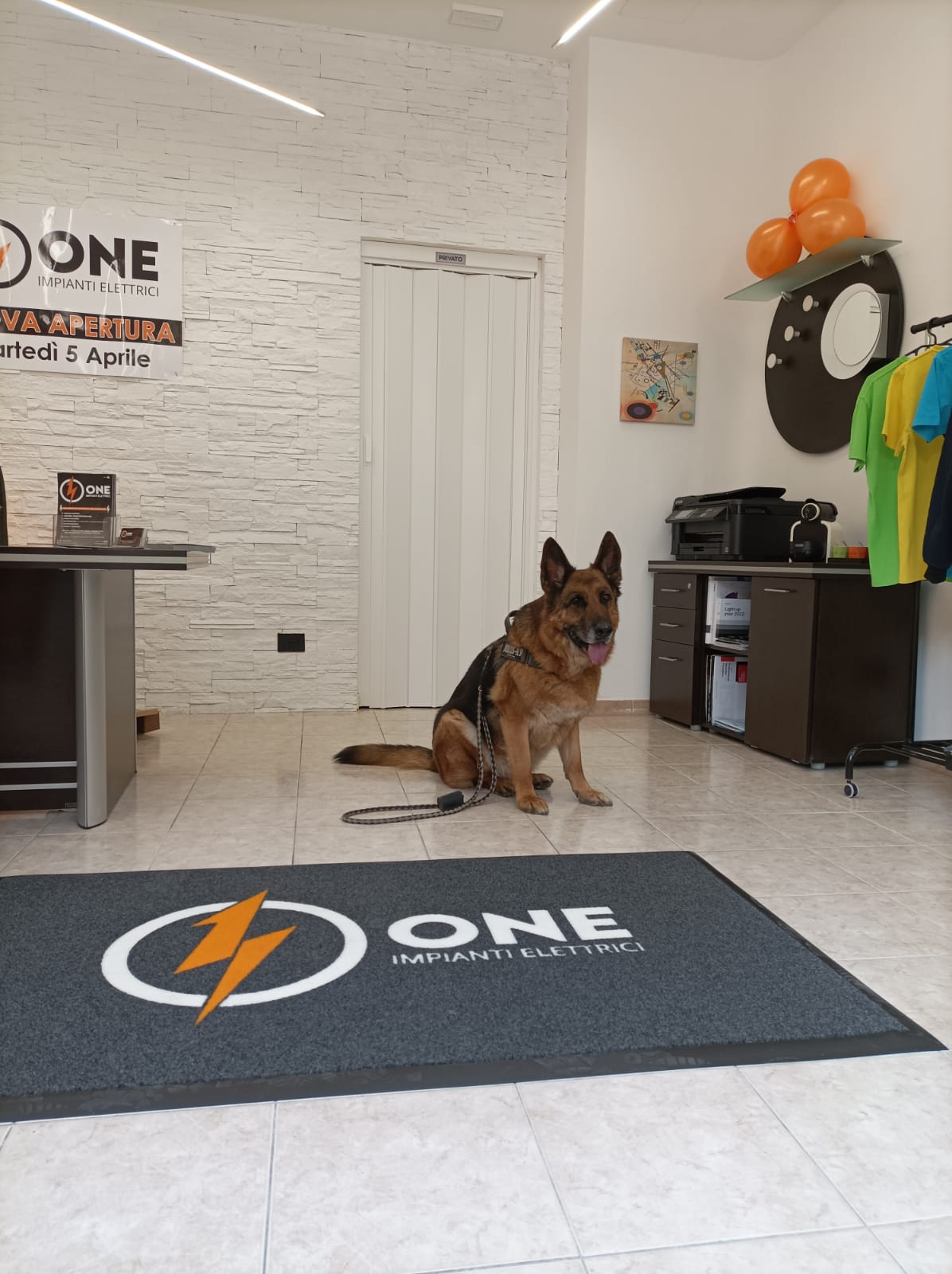 Zerbini Intarsiati d’Eccellenza: La Nuova Frontiera del Brand Identity